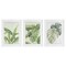 Stupell Industries Tropical Leaves Collection 3pc Framed Print Under Glass Set, design by Errico & Slyp